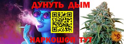 крисы Севастополь