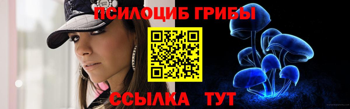 Пенза  Галлюциногенные грибы GOLDEN TEACHER  Вход с VPN  магазин продажи наркотиков  Галлюциногенные грибы прущие грибы 