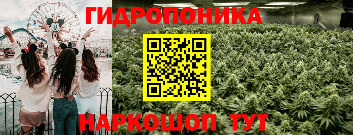 Бошки Шишки план Пенза